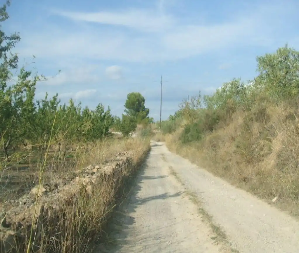 Rural land for sale in -, imagen 3