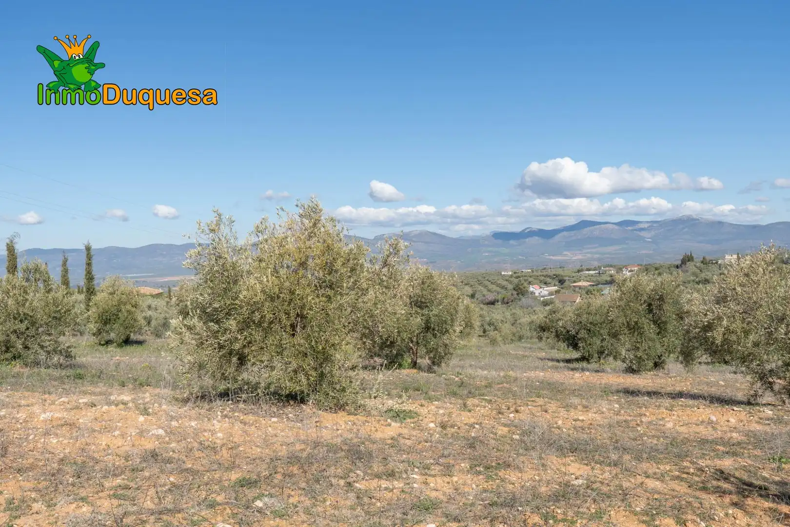 Casa rústica en venda a Cogollos de la Vega, imagen 17