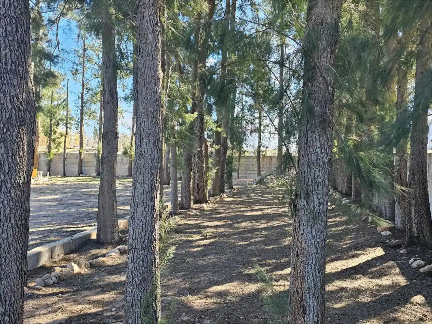 Pis en venda en Oliva amb Jardí privat