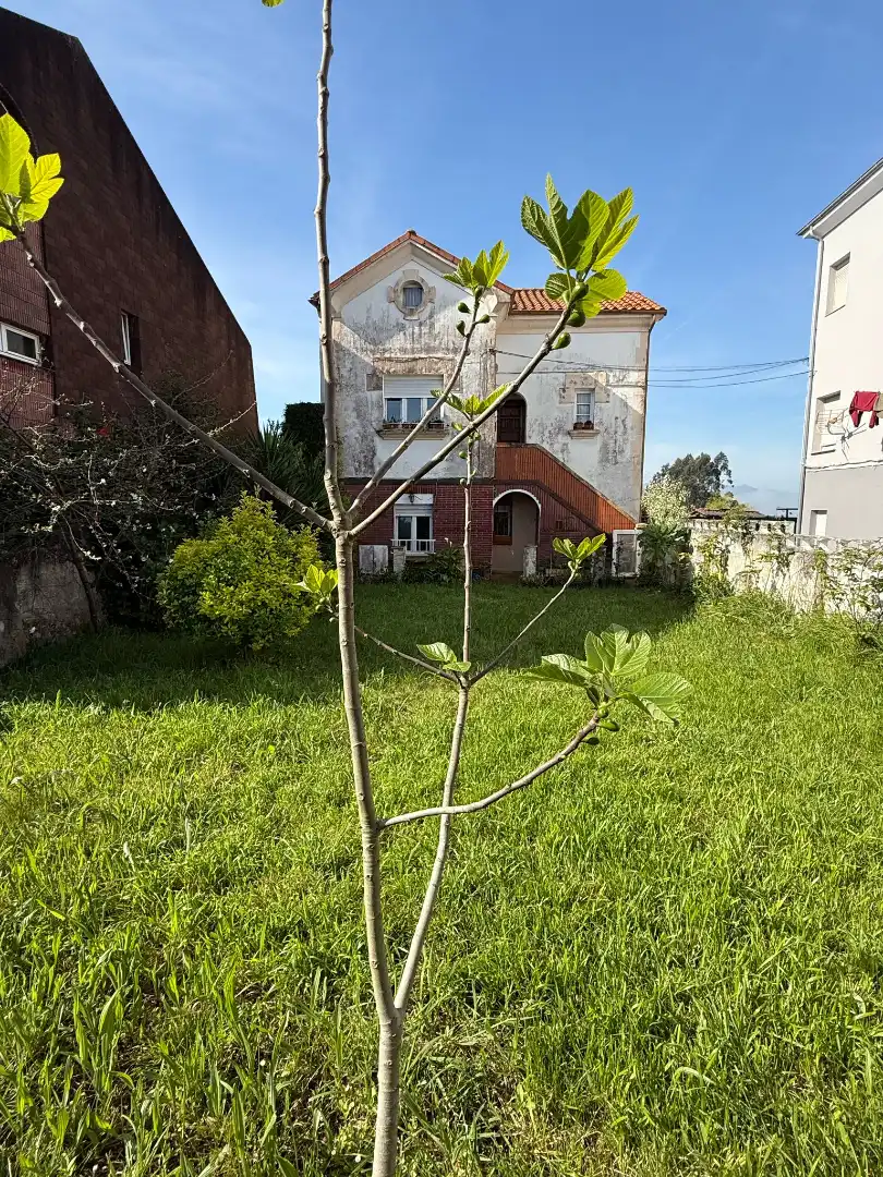 Casa o xalet en venda en Oviedo  amb Jardí privat