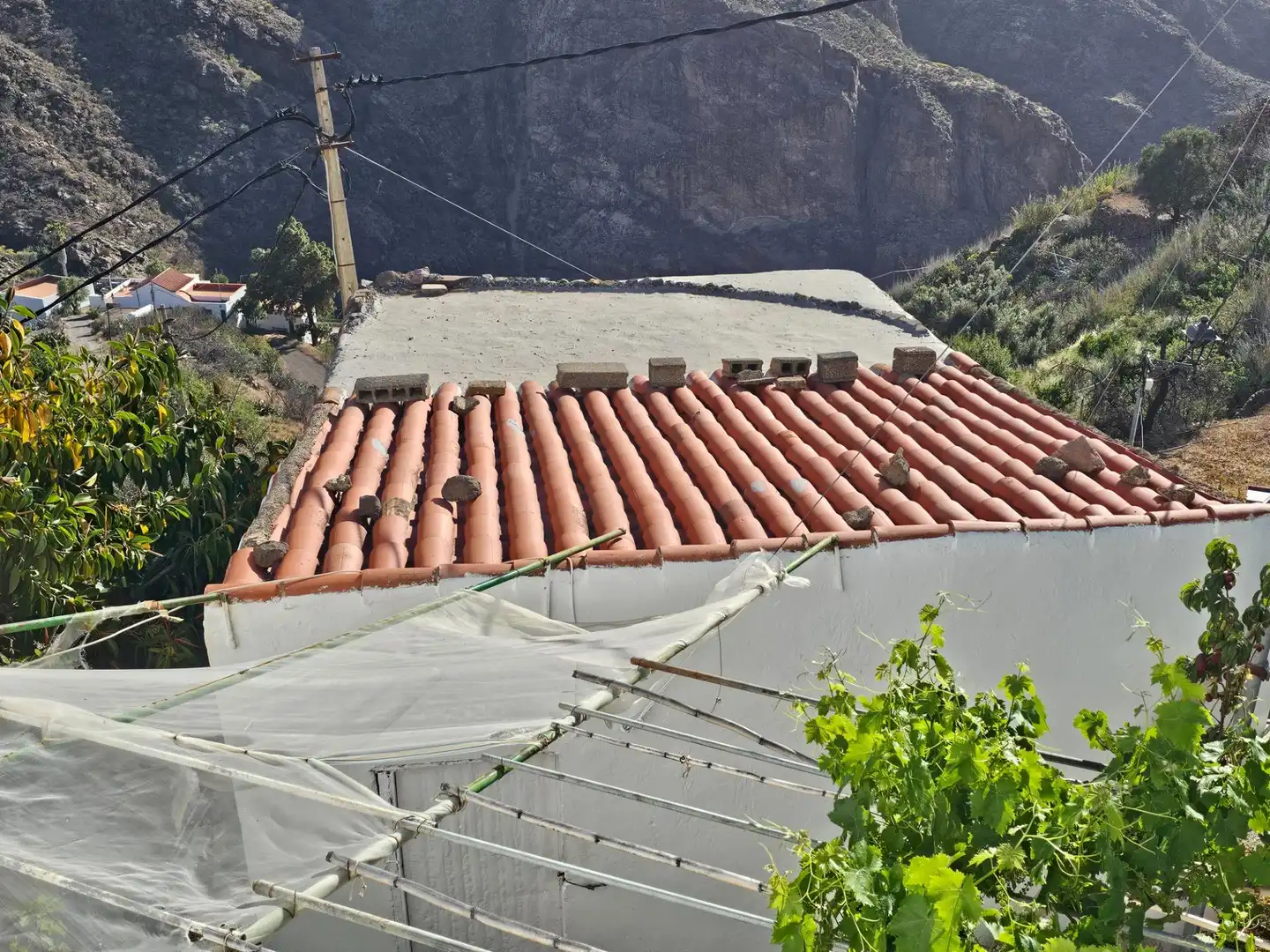Vista exterior de Finca rústica en venta en Tejeda