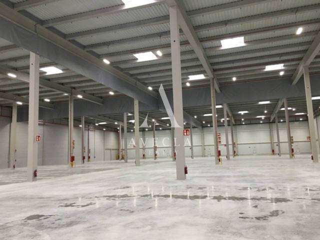 Nave industrial en Alquiler en Avenida de Can Roqueta, 84 en Can Roqueta