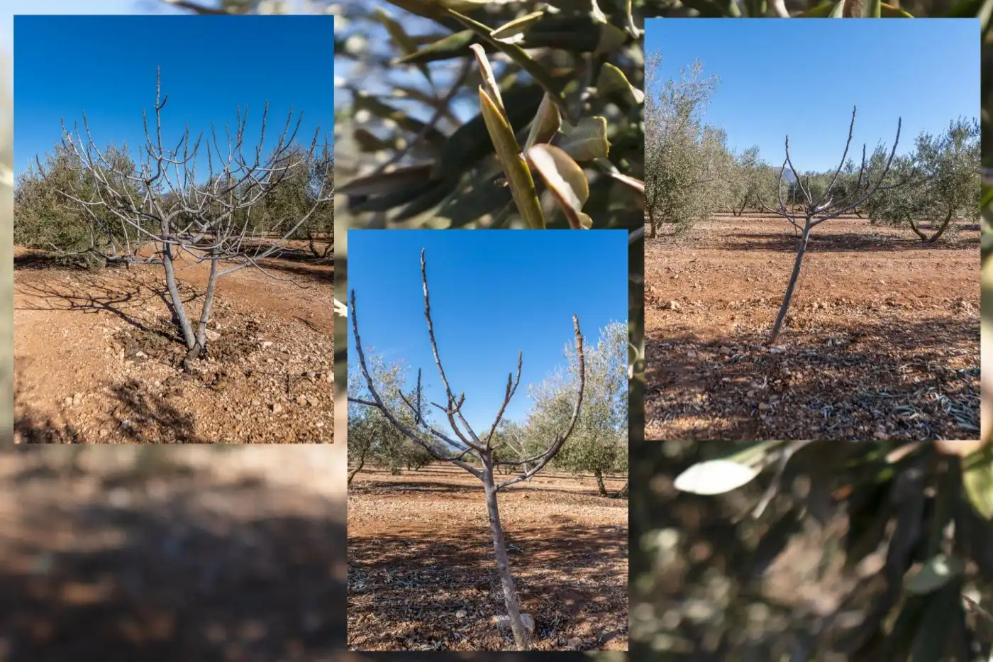 Terreni e lotti in vendita a Pago cortijo de las Monjas, imagen 29