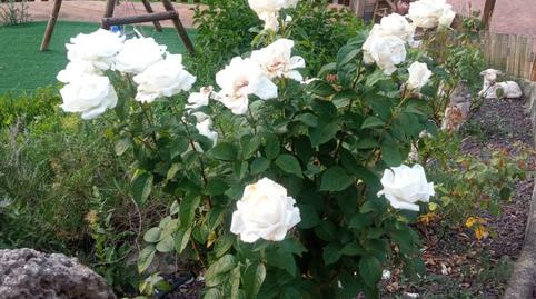 Foto 5 de Casa o xalet en venda a El Pont de Vilomara i Rocafort, Barcelona