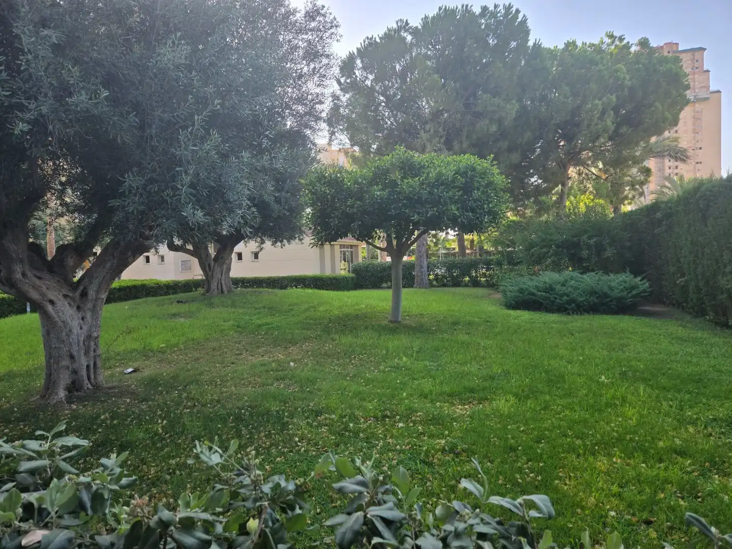 Garden of Flat for sale in Playa Muchavista