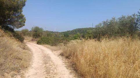 Terreno 7 Hectareas BATEA, immagine 3