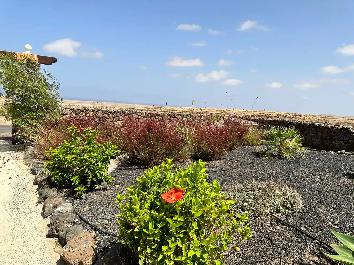 Jardí de Casa o xalet en venda en La Oliva amb Aire condicionat, Jardí privat i Terrassa