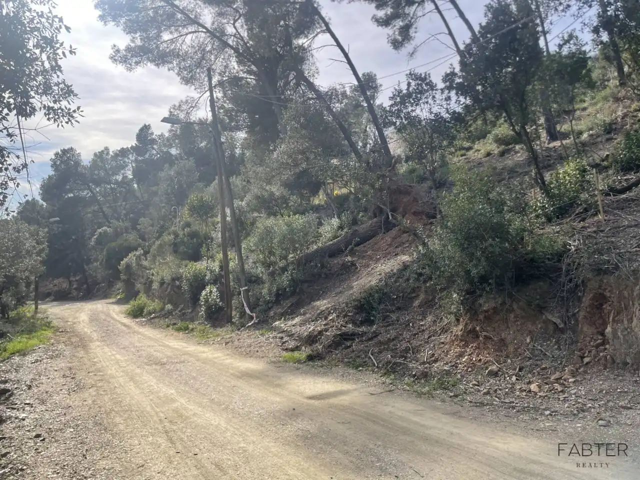 Rural land for sale in Avenida Modolell, imagen 13
