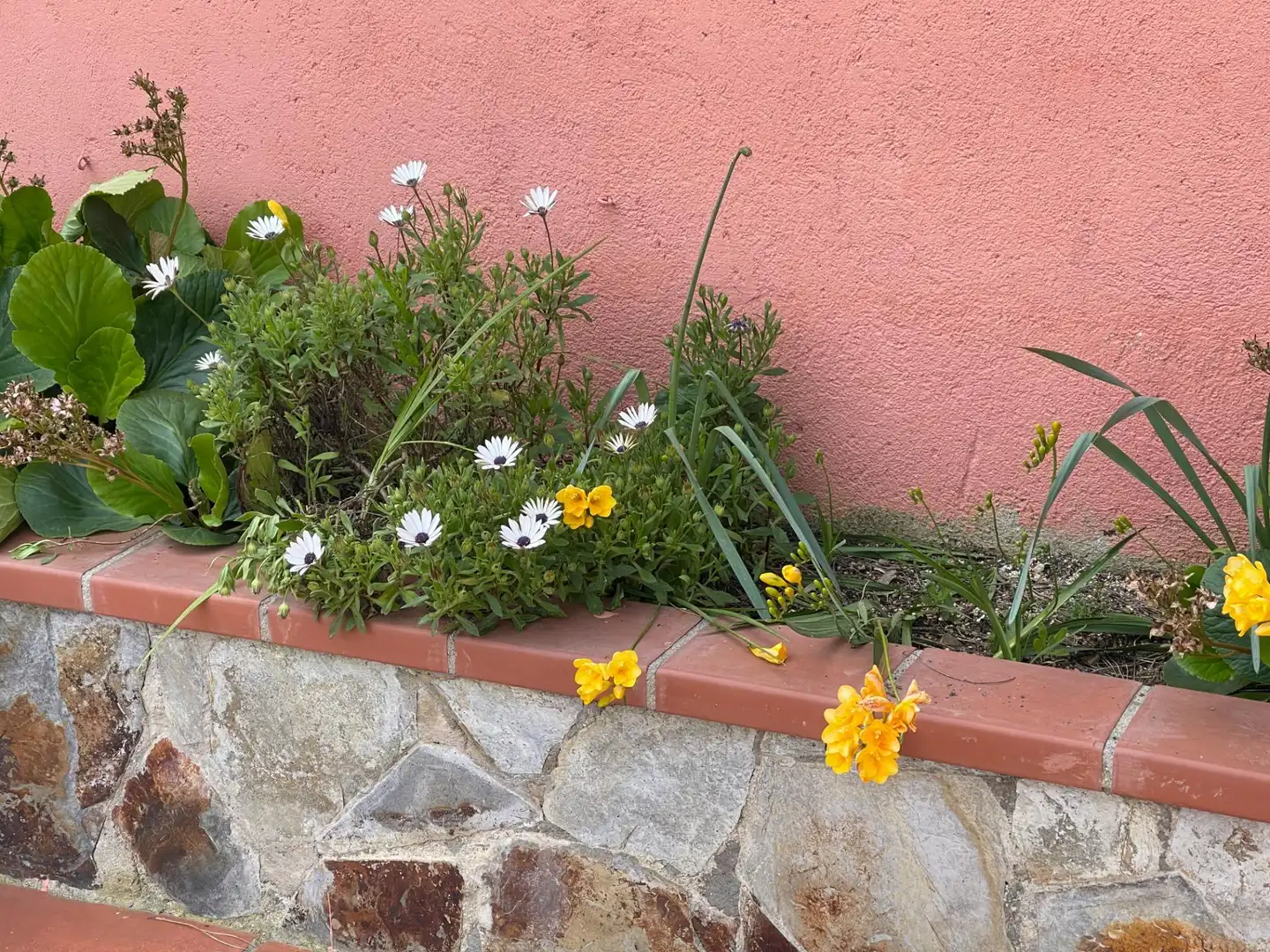 Casa amb jardí en venda a Llinars del Vallès, imagen 7