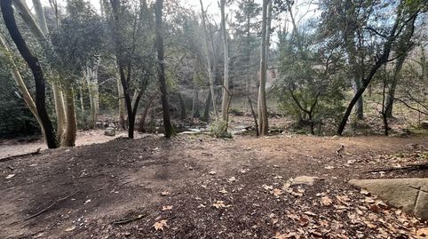 Foto 5 de Finca rústica en venta en Riells i Viabrea, Girona