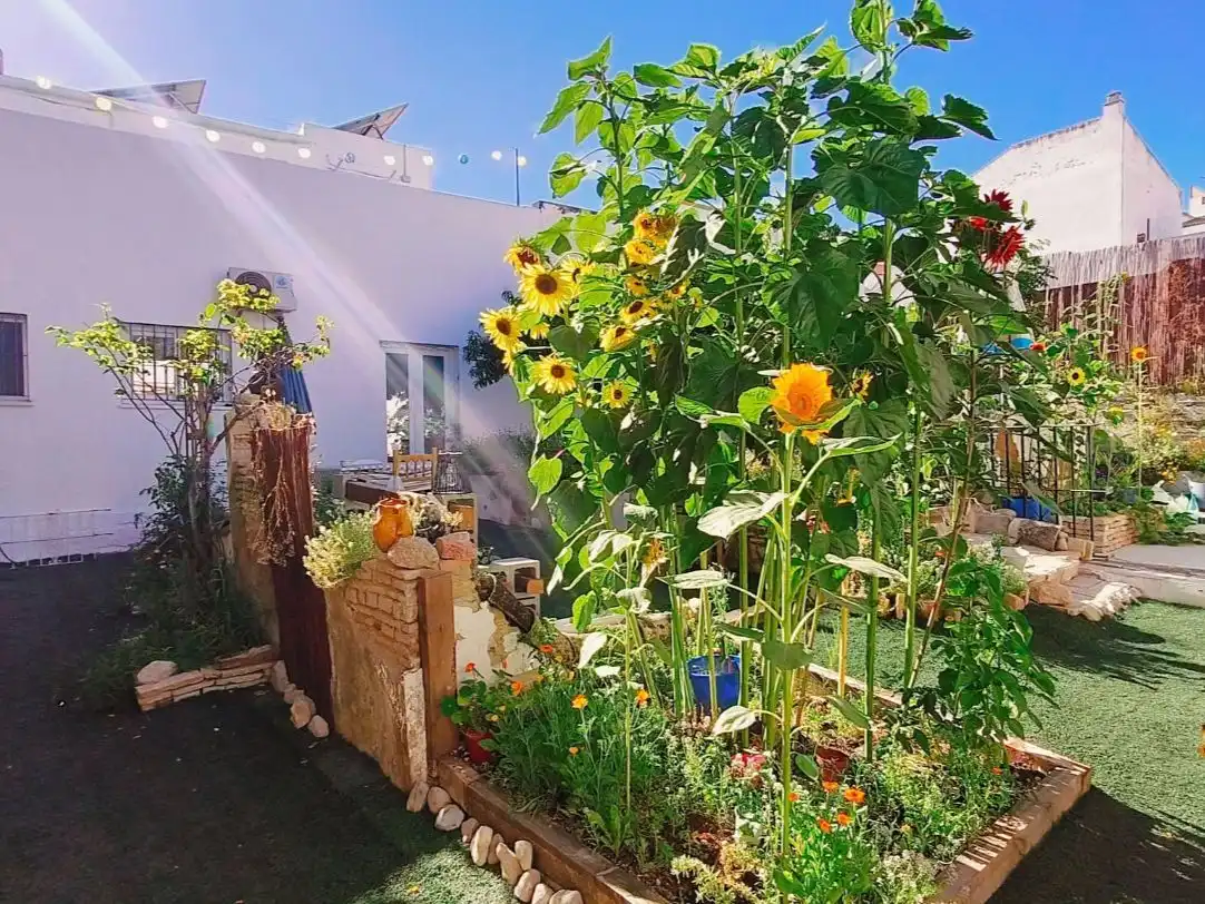 Jardí de Casa o xalet en venda en Jerez de la Frontera amb Aire condicionat, Calefacció i Jardí privat