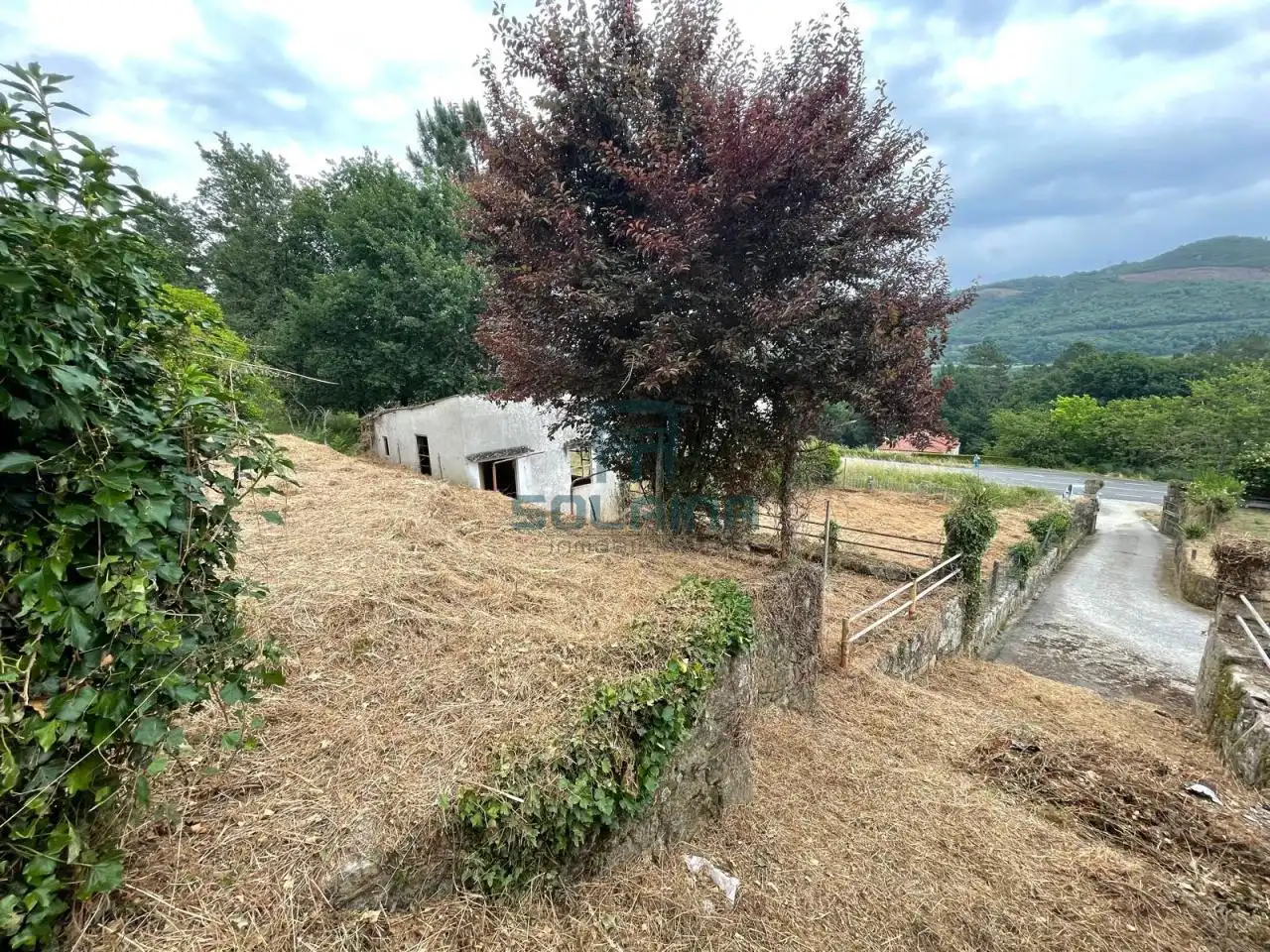 Terreni e lotti in vendita a Punxín, imagen 17