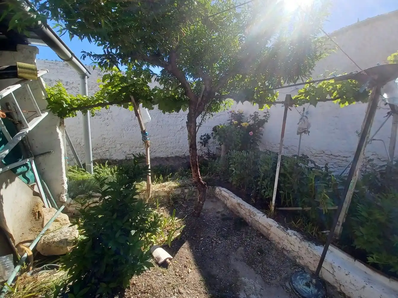 Garden of Houses for sale in Minaya  with Terrace