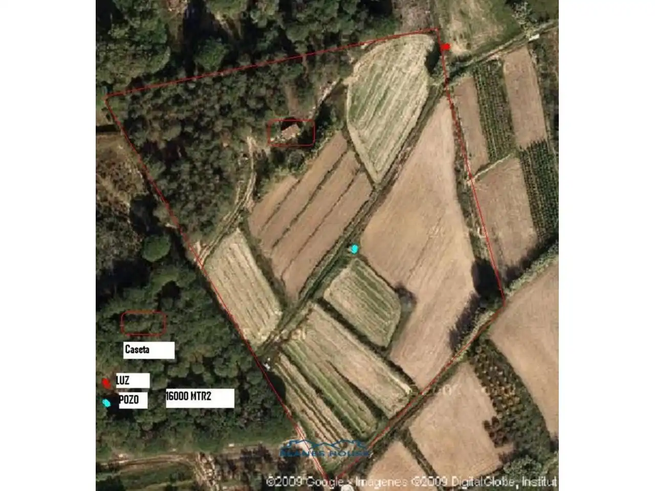 Terreno rustico in vendita a Calle Bosch Rabasa 1, imagen 30