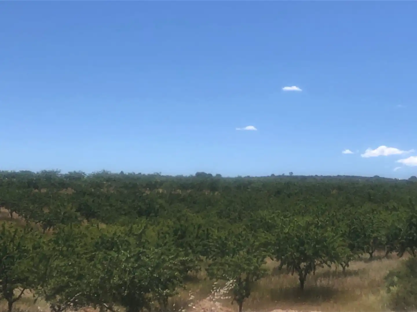 Terrenos y solares en venta en Hellín