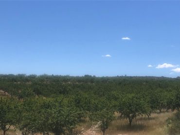 Terrenos y solares en venta en Hellín