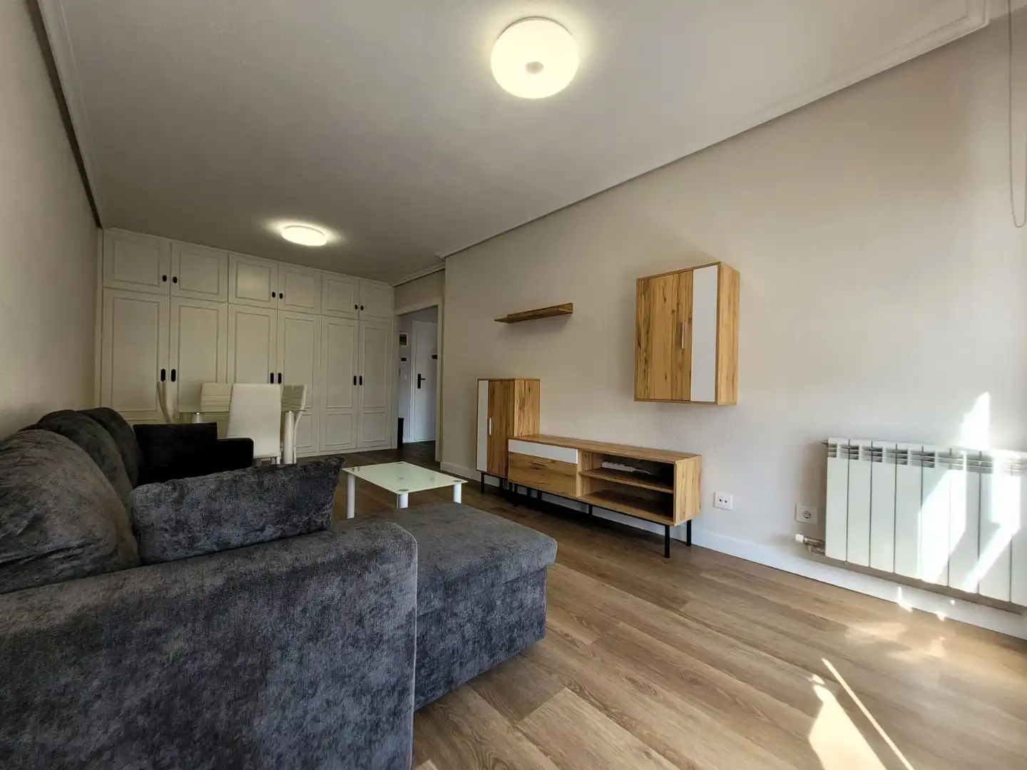 Wohnzimmer von Wohnungen zur Miete in Santander mit Heizung, Möbliert und Balkon