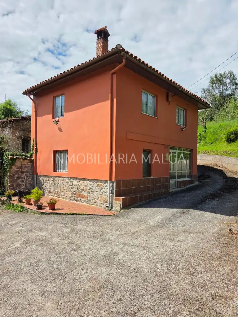 Vista exterior de Casa o xalet en venda en Colunga amb Parquet, Traster i Moblat