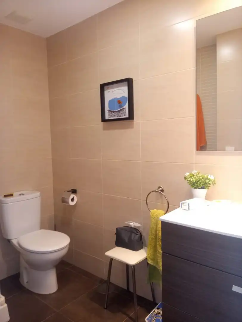Flat with lift to rent in Paseo Marítimo - San José - La Laguna, imagen 16