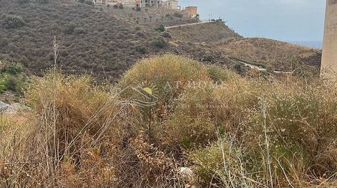 Foto 3 de Piso en venta en El Peñoncillo, Torrox