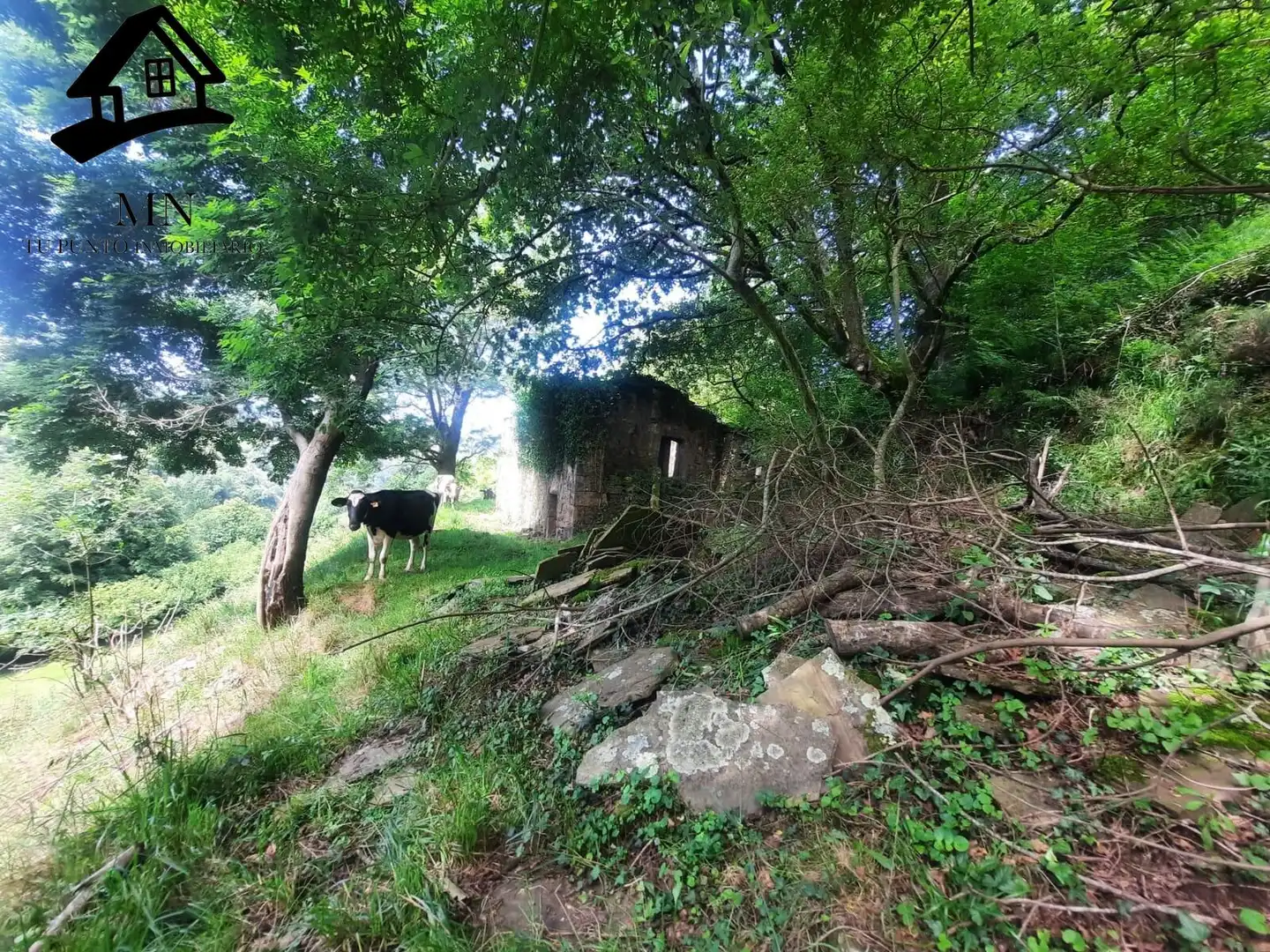 Country homes for sale in Selaya
