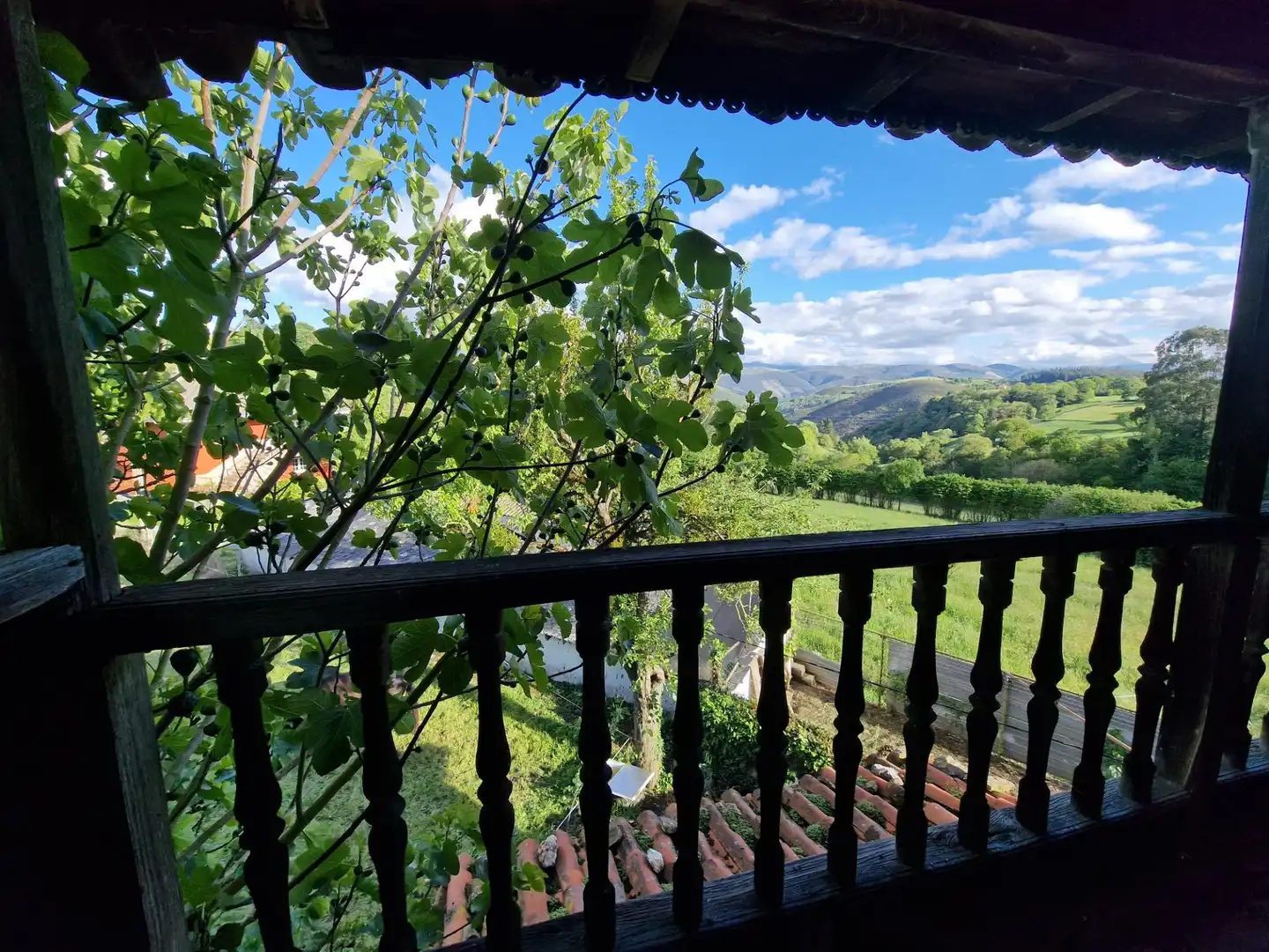 Terraza de Finca rústica en venta en Tineo con Balcón y Piscina comunitaria