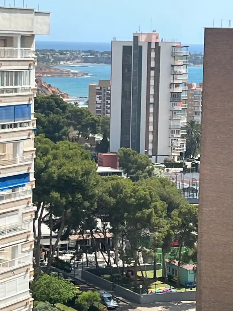 Vista exterior de Apartament de lloguer en Orihuela amb Aire condicionat, Moblat i Forn