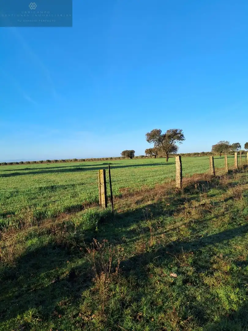 Country homes for sale in Mérida