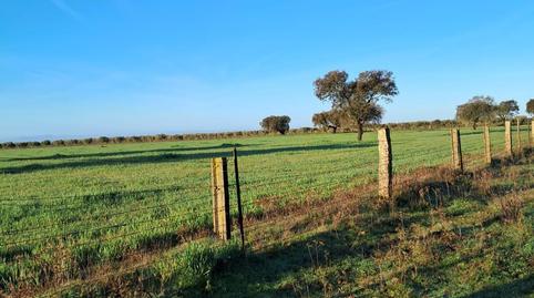 Foto 3 de Finca rústica en venda a Norte, Badajoz