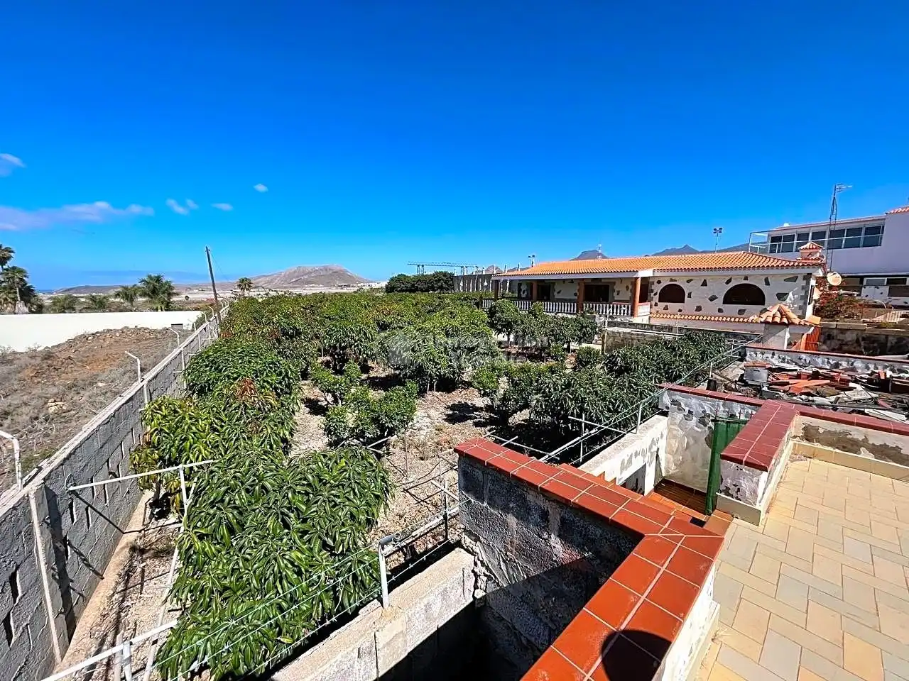 Vista exterior de Casa o chalet en venta en Arona con Jardín privado, Terraza y Piscina