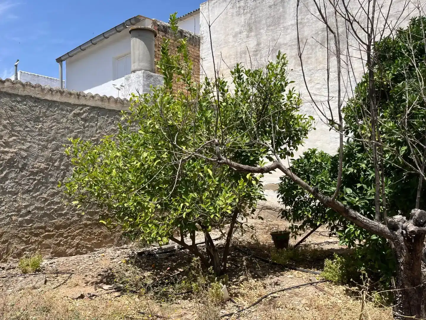 Finca rústica en venta en El Rubio, Sevilla