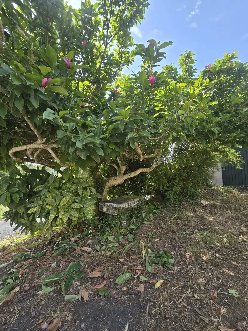 Garden of Country homes for sale in San Sadurniño, A Coruña