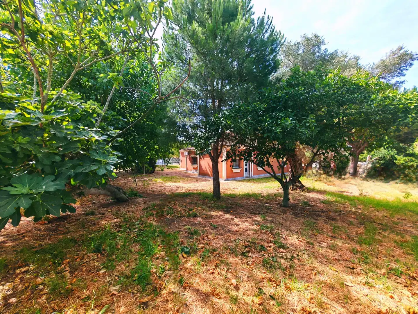 Jardí de Casa o xalet en venda en Chiclana de la Frontera amb Aire condicionat, Traster i Piscina