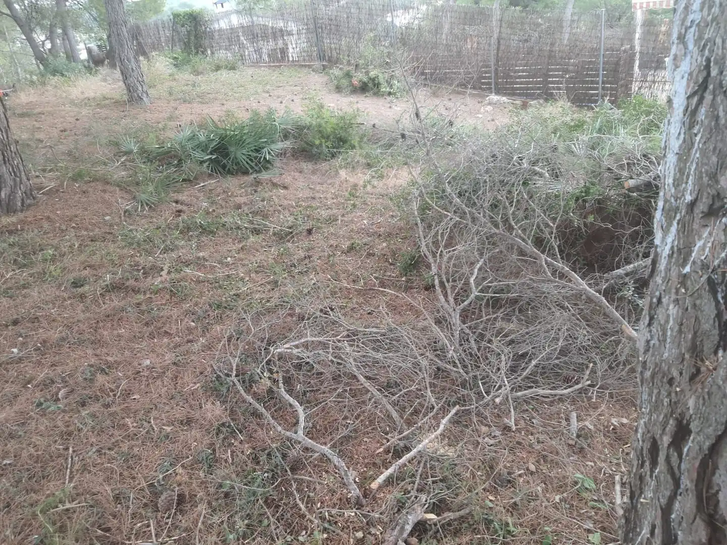 Grundstücke und Bauplätze zum Verkauf in Calafell Park, imagen 19