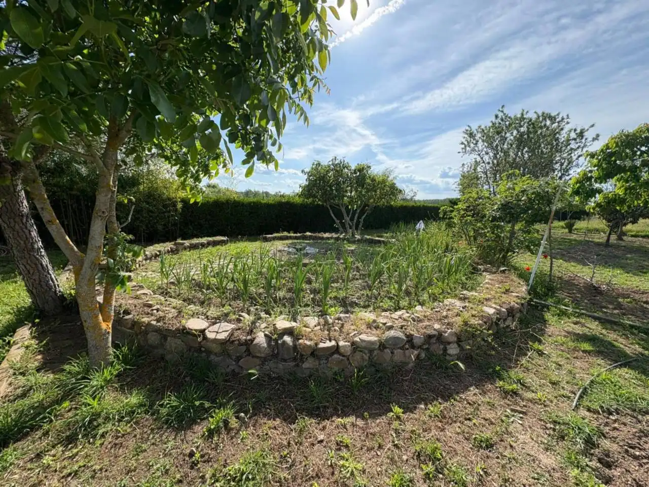 Terreno residenziale in vendita a Poligono 24, imagen 4