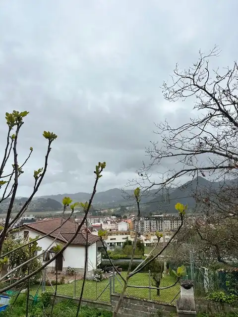 Vista exterior de Casa o chalet en venta en Pravia con Calefacción, Jardín privado y Terraza