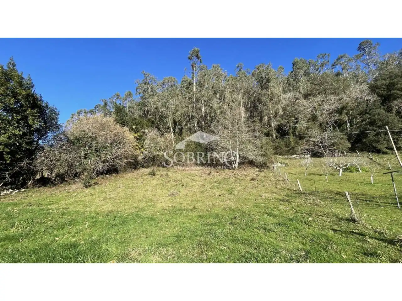 Terreny residencial en venda a Calle vilde 0, imagen 14