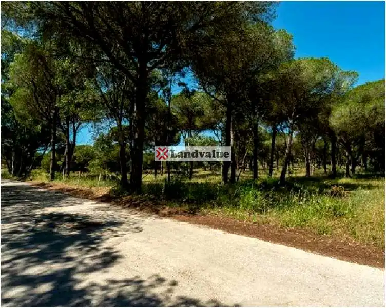 Residencial en venta en Chiclana de la Frontera