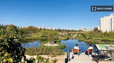 Photo 4 of Study to share in Playa de San Juan, Alicante