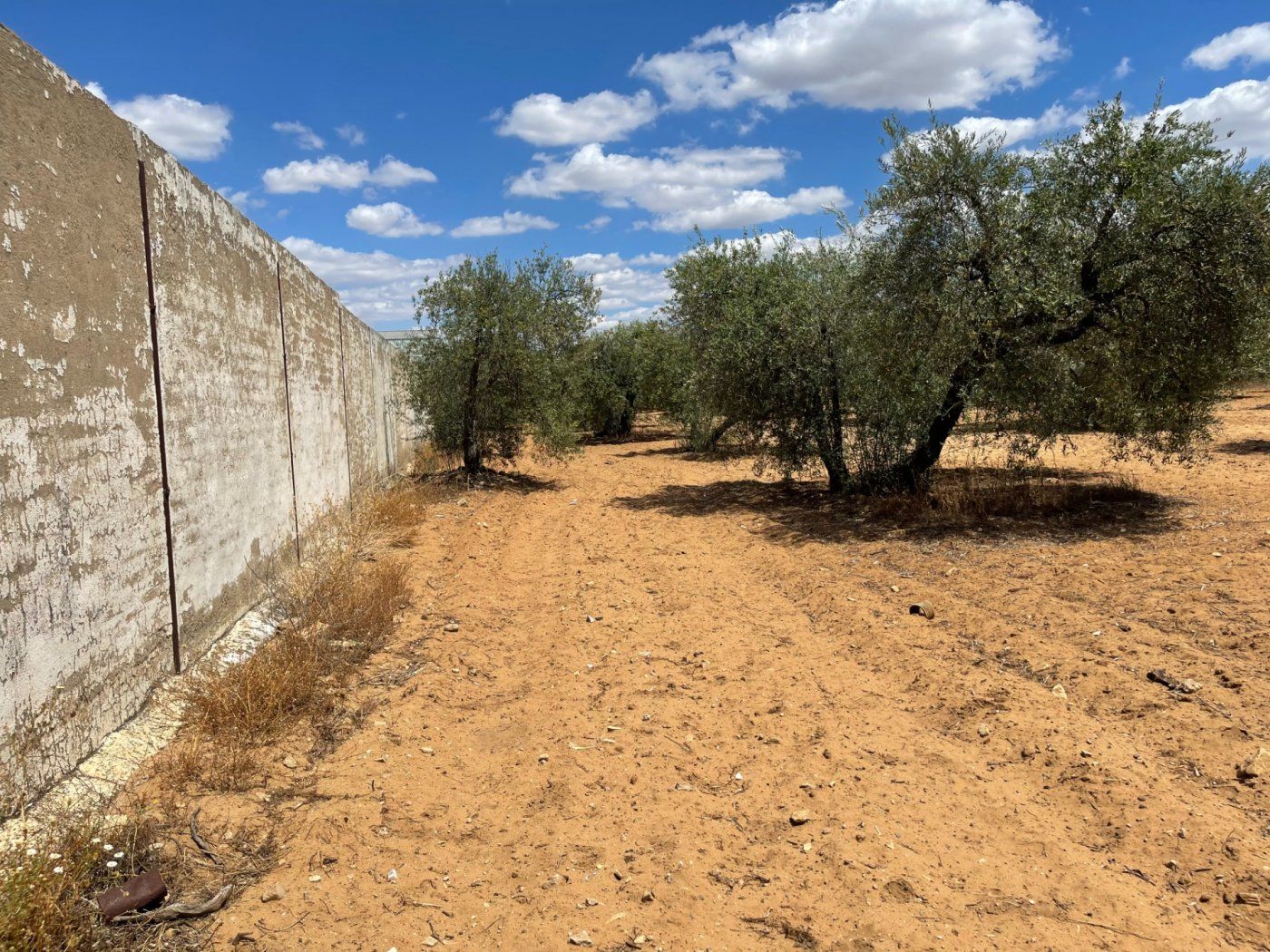 Residential for sale in Arahal