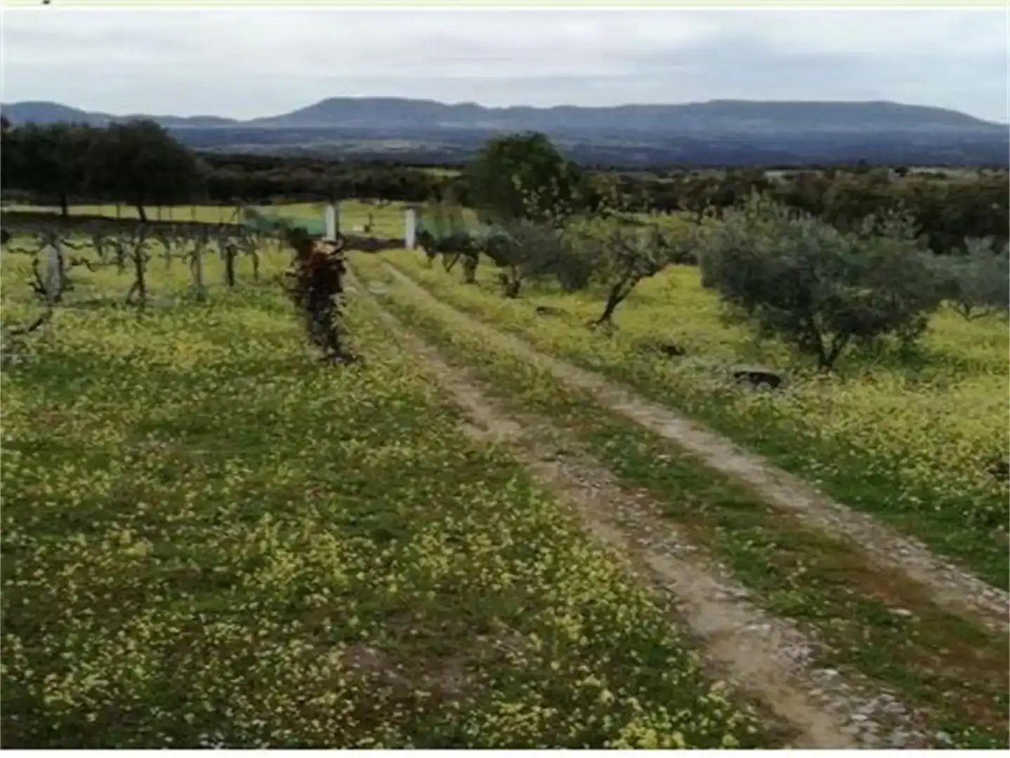 Terreno en venta en Talaván