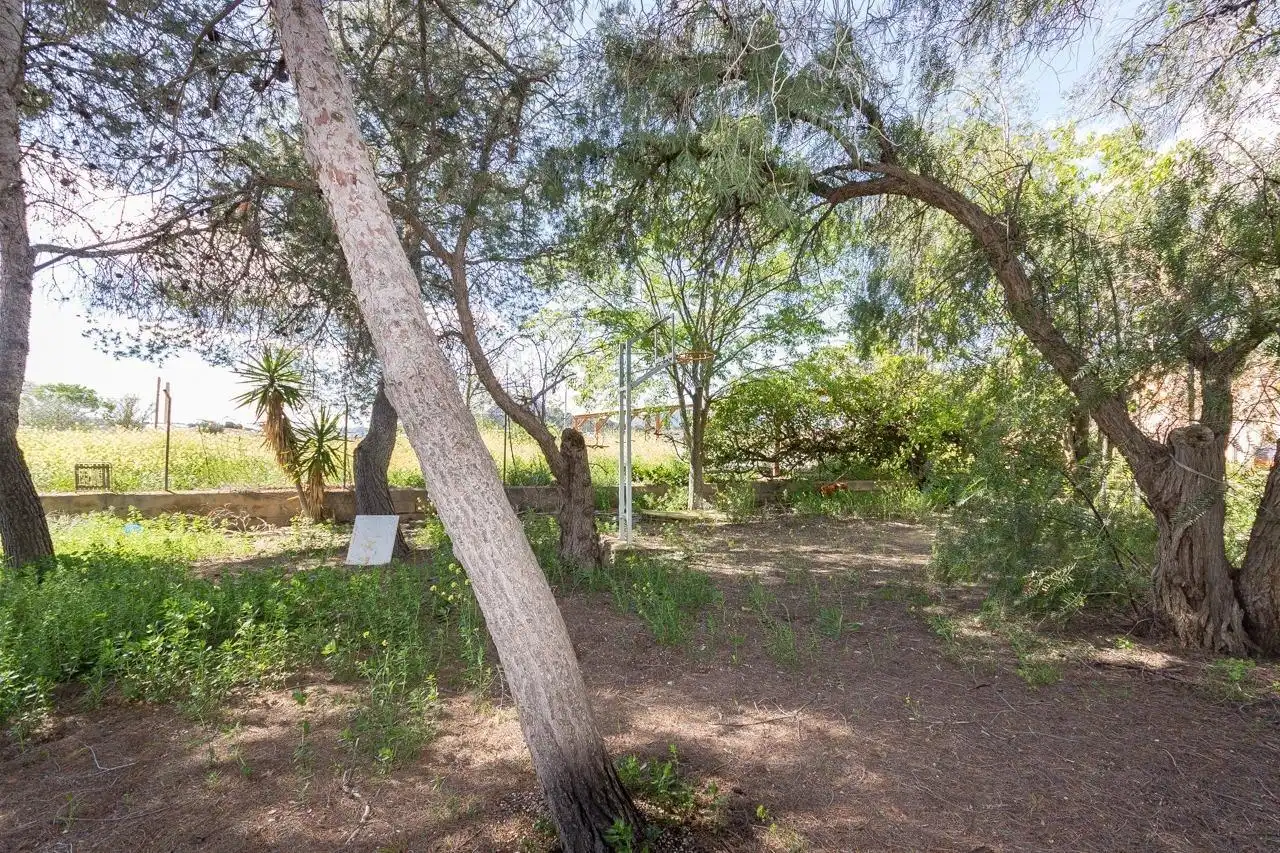 Maison avec jardin à vendre à Sax, imagen 4
