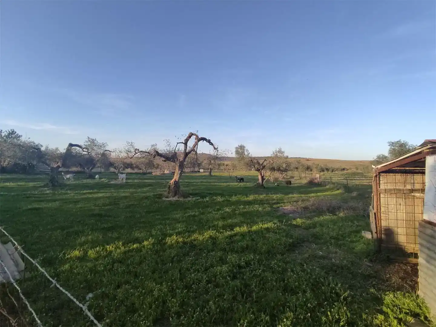 Terreno en venta en Alconera