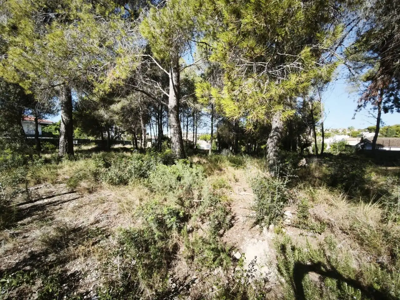 Residential land for sale in Calle Acacias, imagen 9