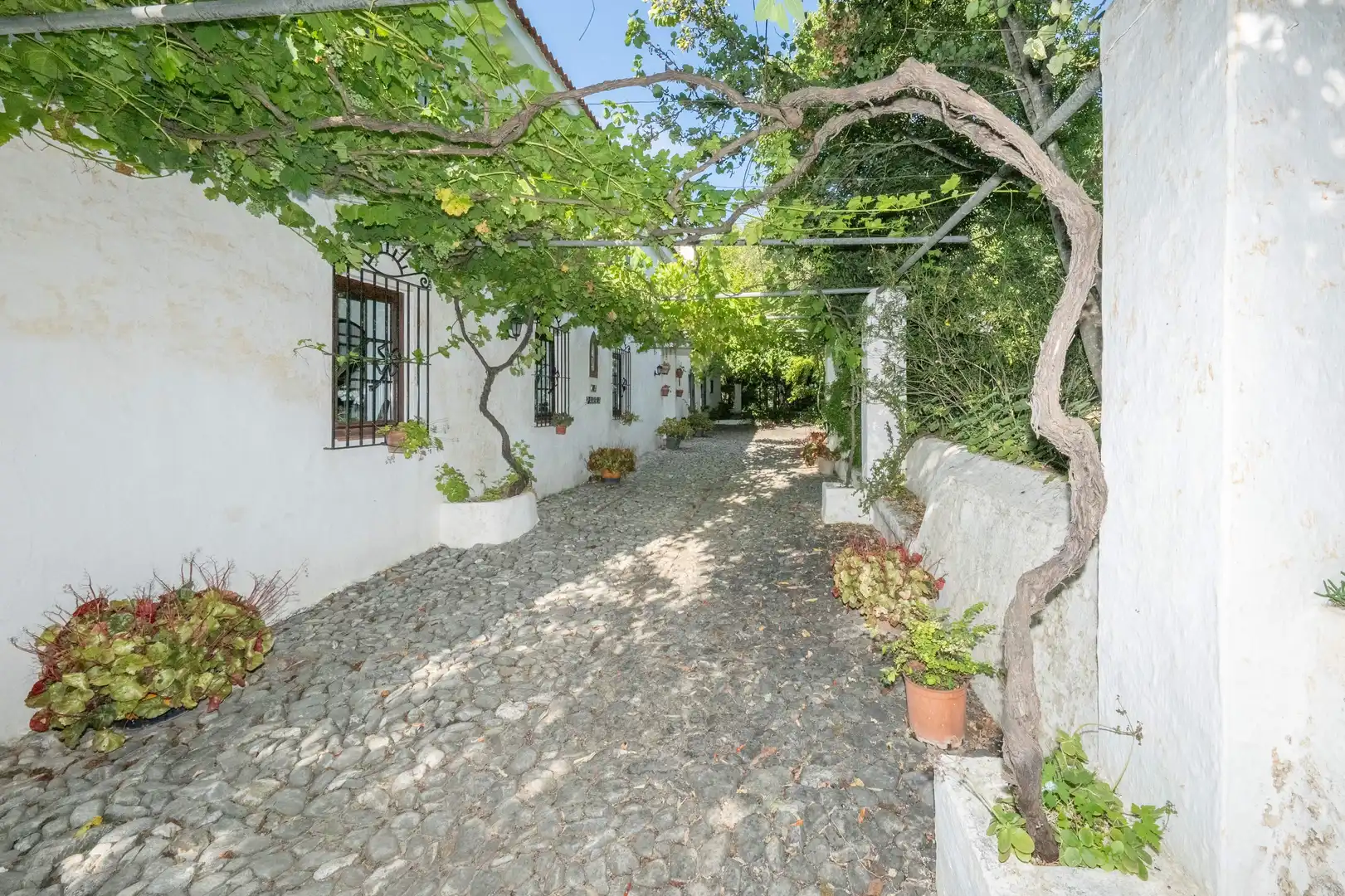 Villa mit Terrasse zum Verkauf in Centro
