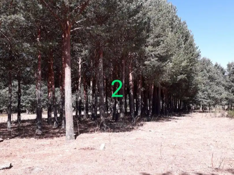 Terreno en venta en Nava de Francia