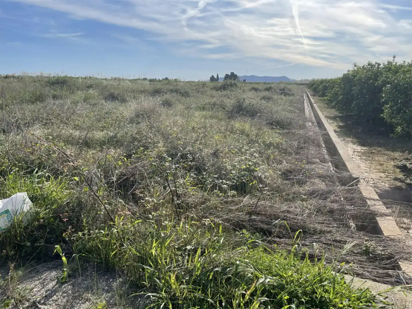 Finca rústica en venta en Polinyà de Xúquer