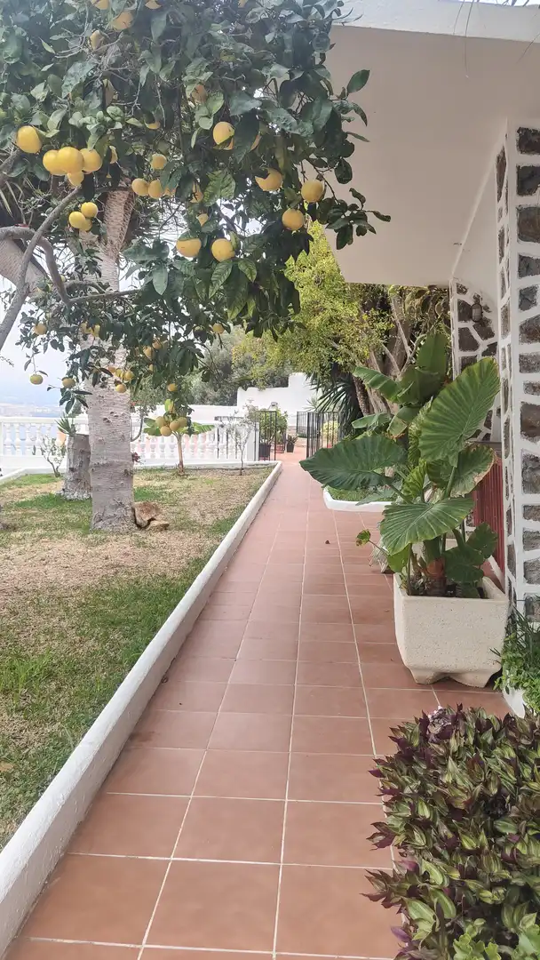 Exterior view of Houses for sale in Ceuta  with Private garden, Storage room and Swimming Pool