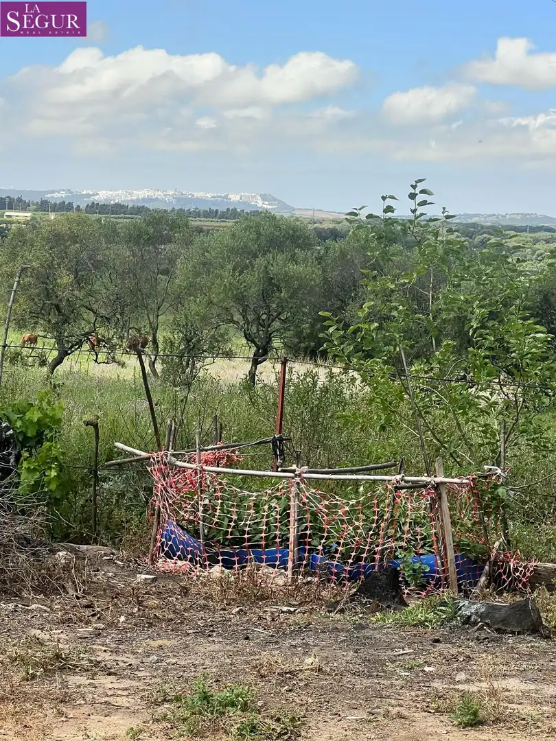Casa rústica en venda a Vejer, imagen 4