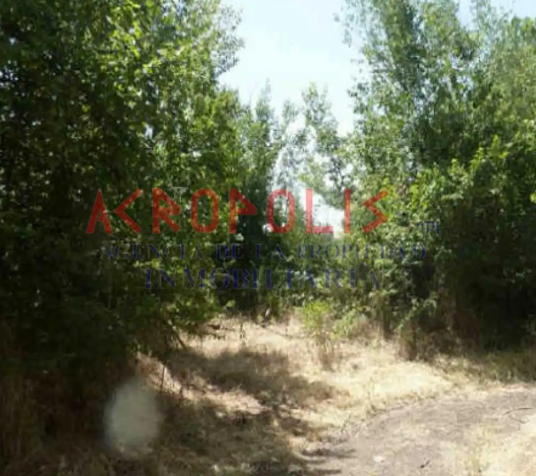 Terreni e lotti in vendita a Calle Picones Polg. 48 Parcela 23, imagen 2